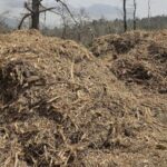 Πώς η απόπειρα κατά του Τραμπ αλλάζει τα πάντα