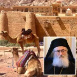 Σεισμός στη Ρωσία: Η στιγμή που κοπάδι από θαλάσσια λιοντάρια βουτά στο νερό για να προστατευτεί