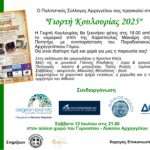 Rhodes Street Food Festival: Ξεκινάει το Σάββατο, το αγαπημένο γαστρονομικό ραντεβού του καλοκαιριού