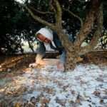 Με μεγάλη επιτυχία ολοκληρώθηκε το πρώτος σκέλος του διεθνή αγώνα ιστιοπλοΐας ανοιχτής θαλάσσης Aegean Regatta από τη Μύρινα της Λήμνου ως τον Άγιο Ευστράτιο