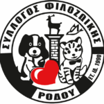 Μην ρίχνετε ποτέ καυτό νερό στον νεροχύτη -Μάθετε γιατί