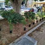 Θ. Σταμούλης: Πιστεύω ότι οι παίκτες μας προσπάθησαν πολύ και πήραν αυτό που δικαιούνταν με βάση την εικόνα του αγώνα με τον Διαγόρα”