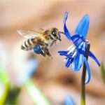 Η πρώτη εμφάνιση της Κίμπερλι Γκιλφόιλ στην Αθήνα