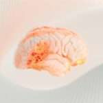 «Κόλαφος» η έκθεση της ΕΕ για την Τουρκία: Αμφισβητεί τα κυριαρχικά δικαιώματα της Ελλάδας