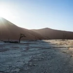 Hara hachi bu: Το μυστικό Γιαπωνέζων για να είναι αδύνατοι και να ζουν πολύ -Ο κανόνας του 80%Πηγή: iefimerida.gr – Hara hachi bu: Το μυστικό Γιαπωνέζων για να είναι αδύνατοι και να ζουν πολύ -Ο κανόνας του 80% – iefimerida.gr