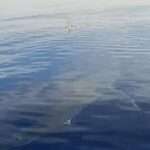 Τη Δευτέρα συνεδριάζει η Δημοτική Επιτροπή Ρόδου