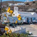 ΑΠΟΤΕΛΕΣΜΑΤΑ ΕΚΛΟΓΩΝ ΣΥΛΛΟΓΟΥ ΑΠΑΝΤΑΧΟΥ ΔΩΔΕΚΑΝΗΣΙΩΝ ΝΕΩΝ