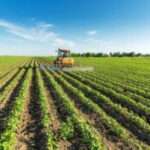 Η νέα παράταξη «Ποδοσφαιρική Αναγέννηση Δωδεκανήσου» ανακοινώνει επίσημα τη συμμετοχή της στις προσεχείς αρχαιρεσίες της ΕΠΣ Δωδεκανήσου