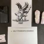 Ετήσια συνάντηση των Επίτιμων Προξένων της Γαλλίας στην Αθήνα  Ενδυνάμωση της ελληνογαλλικής συνεργασίας