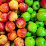 Σκάνδαλο στην Πολεοδομία Ρόδου: Τρίτος κύκλος ερευνών από τους «αδιάφθορους»