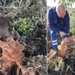 Ανάκληση βρεφικού γάλακτος λόγω επικίνδυνης τοξίνης – Τι πρέπει να γνωρίζουν οι γονείς