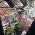 Δεν εκτελέστηκε σήμερα ο Ερφάν Σολτανί