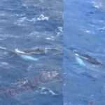 Ρόδος: προβλήματα σε πτήσεις αεροπλάνων και δρομολόγια πλοίων προκάλεσαν οι ισχυροί νότιοι άνεμοι