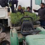 Νέα μελέτη της Stasher κατατάσσει τις πιο ήσυχες πόλεις παγκοσμίως για διακοπές, με τη Ρόδο να κατακτά την πρώτη θέση και τις ευρωπαϊκές πόλεις να κυριαρχούν