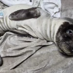 Νέα μελέτη της Stasher κατατάσσει τις πιο ήσυχες πόλεις παγκοσμίως για διακοπές, με τη Ρόδο να κατακτά την πρώτη θέση και τις ευρωπαϊκές πόλεις να κυριαρχούν