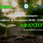 Βίζα – εξπρές ξανά για Τούρκους σε 12 ελληνικά νησιά