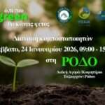 ΔΤ ΓΥΝΑΙΚΕΙΑΣ ΟΜΑΔΑΣ ΠΟΔΟΣΦΑΙΡΟΥ IALISOU LADIES ΓΙΑ ΔΙΚΑΣΤΙΚΗ ΔΙΚΑΙΩΣΗ ΜΕ ΤΗΝ ΑΠΟΦΑΣΗ ΤΗΣ ΔΕΥΤΕΡΟΒΑΘΜΙΑ ΕΠΙΤΡΟΠΗΣ ΤΗΣ ΕΠΟ