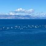 Ελεύθεροι με περιοριστικούς όρους 2 από τους 5 συλληφθέντες στη υπόθεση διακίνησης κοκαΐνης που εξιχνίασαν οι “Aδιάφθοροι” της ΕΛΑΣ