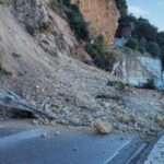 Το ακτινίδιο ενισχύει τη θέση του στις παγκόσμιες αγορές και πάει Βιετνάμ