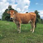 Ξενοδόχοι: λογαριασμός αποζημιώσεων στο δημόσιο για το “πάγωμα” της εκτός σχεδίου δόμησης