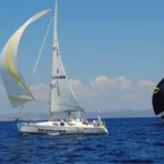 Κάσοs – κλιμάκιο εθελοντών κτηνιάτρων για τη διενέργεια στειρώσεων γατών