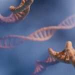 TUI: Νέες απευθείας πτήσεις από Βρετανία προς Κω το καλοκαίρι 2026