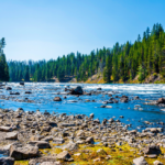 Κατεδαφίστηκαν τα αυθαίρετα στο εσωτερικό της Νέας Αγοράς