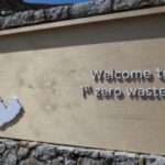 25ο Καρναβάλι Σορωνής Ρόδου: Μια γιορτή που ξεπέρασε κάθε προσδοκία!