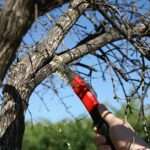 Συνάντηση εκπροσώπων φορέων για την αξιοποίηση του Παλαιού Νοσοκομείου Ρόδου με τους Βουλευτές Δωδεκανήσου