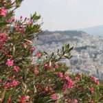 Τέλος η μεταφορά άλλων επιβατών στο αυτοκίνητο -Αυτοί οι οδηγοί δεν θα έχουν ούτε συνοδηγό