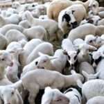 Αλλάζει το φαρμακείο του αυτοκινήτου: Τι πρέπει να περιέχει από τις 18 Ιουνίου