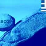 Ο ελληνικός τουρισμός, λίγες μόλις ημέρες πριν από το Πάσχα, βρίσκεται αντιμέτωπος με μια εικόνα που κάθε άλλο παρά αισιόδοξη είναι, όπως περιγράφουν εκπρόσωποι των τουριστικών λεωφορείων. Ο Απόστολος Εμμανουηλίδης, Πρόεδρος της Ομοσπονδίας Επιχειρήσεων Τουρισμού Ελλάδος – Τουριστικών Γραφείων & Λεωφορείων, μιλώντας στο ERTnews.gr, κάνει λόγο για μια πρωτοφανή πτώση στην κίνηση, τόσο στην Ελλάδα όσο και στην υπόλοιπη Ευρώπη. «Δεν πάει καλά ο τουρισμός στην Ελλάδα και γενικά σε όλη την Ευρώπη. Εμείς έχουμε μια πτώση από 60% έως 85% αυτή τη στιγμή που μιλάμε», σημειώνει, διευκρινίζοντας ότι η χαμηλή συμμετοχή αφορά τόσο τα ταξίδια στο εσωτερικό όσο και στο εξωτερικό. «Είμαστε 5 με 6 ημέρες πριν από τις αναχωρήσεις που είχαμε προγραμματίσει για το Πάσχα και δυστυχώς είναι πολύ μικρή η συμμετοχή των ταξιδιωτών», προσθέτει, περιγράφοντας ένα κλίμα γενικευμένης ανασφάλειας. Σήμα αγωνίας λόγω πολέμου από τα τουριστικά λεωφορεία Ο κ. Εμμανουηλίδης δεν περιορίζεται μόνο στη ζήτηση, αλλά αναδεικνύει και τη δραματική επιβάρυνση του λειτουργικού κόστους για τις επιχειρήσεις του κλάδου. Όπως εξηγεί, ο πόλεμος δεν επηρεάζει μόνο τις τιμές των καυσίμων, αλλά συμπαρασύρει σχεδόν όλα τα βασικά κόστη: «Έχουν ακριβύνει τα λάστιχα, έχουν ακριβύνει τα λάδια, όλα τα ανταλλακτικά έχουν πάει στα ύψη», υπογραμμίζει. Απέναντι σε αυτή την πραγματικότητα, οι επαγγελματίες ετοιμάζονται για κλιμάκωση των δράσεών τους. Ο Πρόεδρος της Ομοσπονδίας αποκαλύπτει ότι έχει ήδη αποσταλεί επιστολή προς τους αρμόδιους υπουργούς με αίτημα είτε επιδότησης είτε μείωσης του Ειδικού Φόρου Κατανάλωσης στο πετρέλαιο κίνησης για τα τουριστικά λεωφορεία. Παράλληλα, η Ομοσπονδία εξετάζει την προσφυγή στην Επιτροπή Ανταγωνισμού για το ζήτημα των τελών κυκλοφορίας, θεωρώντας ότι θίγεται η αρχή των ίσων όρων ανταγωνισμού σε σχέση με άλλες κατηγορίες μεταφορών. Ιδιαίτερη ανησυχία προκαλεί και η γεωγραφική κατανομή των απωλειών, καθώς όπως επισημαίνει ο κ. Εμμανουηλίδης, οι περιοχές με τις μεγαλύτερες μειώσεις στην κίνηση είναι «πρωτίστως τα μεγάλα νησιά μας, η Κρήτη αλλά και η Ρόδος». Η εγγύτητα σε βάσεις του ΝΑΤΟ αλλά και η παραδοσιακά ισχυρή παρουσία Ισραηλινών τουριστών στις περιοχές αυτές εντείνουν το αίσθημα ανασφάλειας και μεταφέρονται άμεσα στις κρατήσεις και στα οργανωμένα ταξίδια.