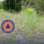 ΥΠΕΣ: Ζητά από δήμους στοιχεία δυναμικότητας παιδικών, βρεφικών και βρεφονηπιακών σταθμών