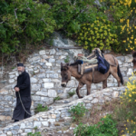 Η Google αλλάζει την μπάρα αναζήτησης για πρώτη φορά μετά από 25 χρόνια, ο ρόλος της τεχνητής νοημοσύνης