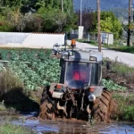 Ξεκινά τη Δευτέρα η κατάθεση δεσμευτικών προτάσεων για τις μειώσεις τιμών στα σούπερ μάρκετ – Στόχος μειώσεις έως 20%